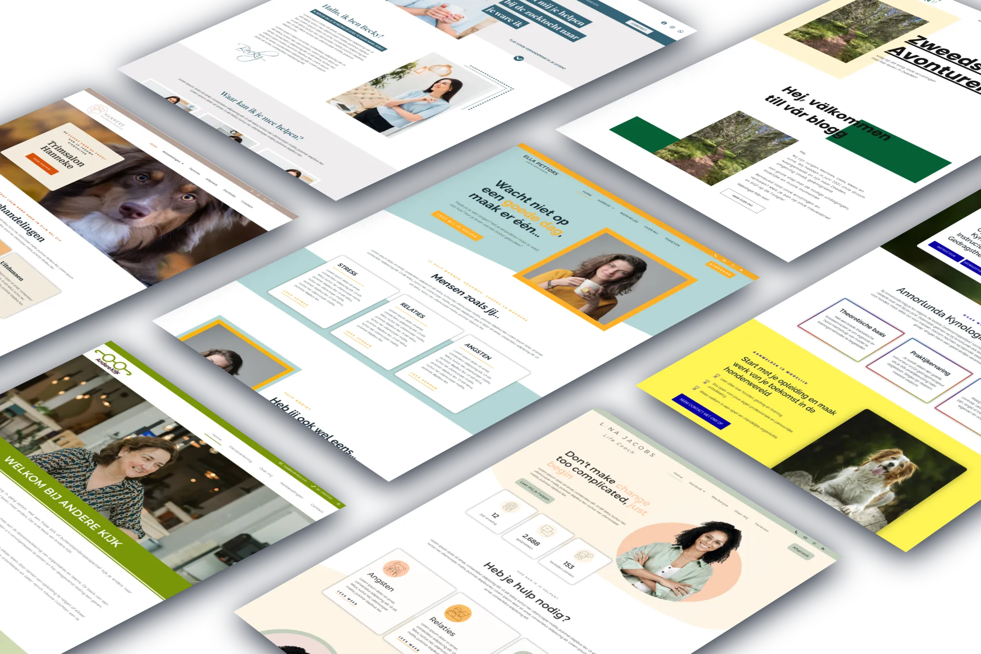 Voorbeelden van door MaFien gemaakte betaalbare websites