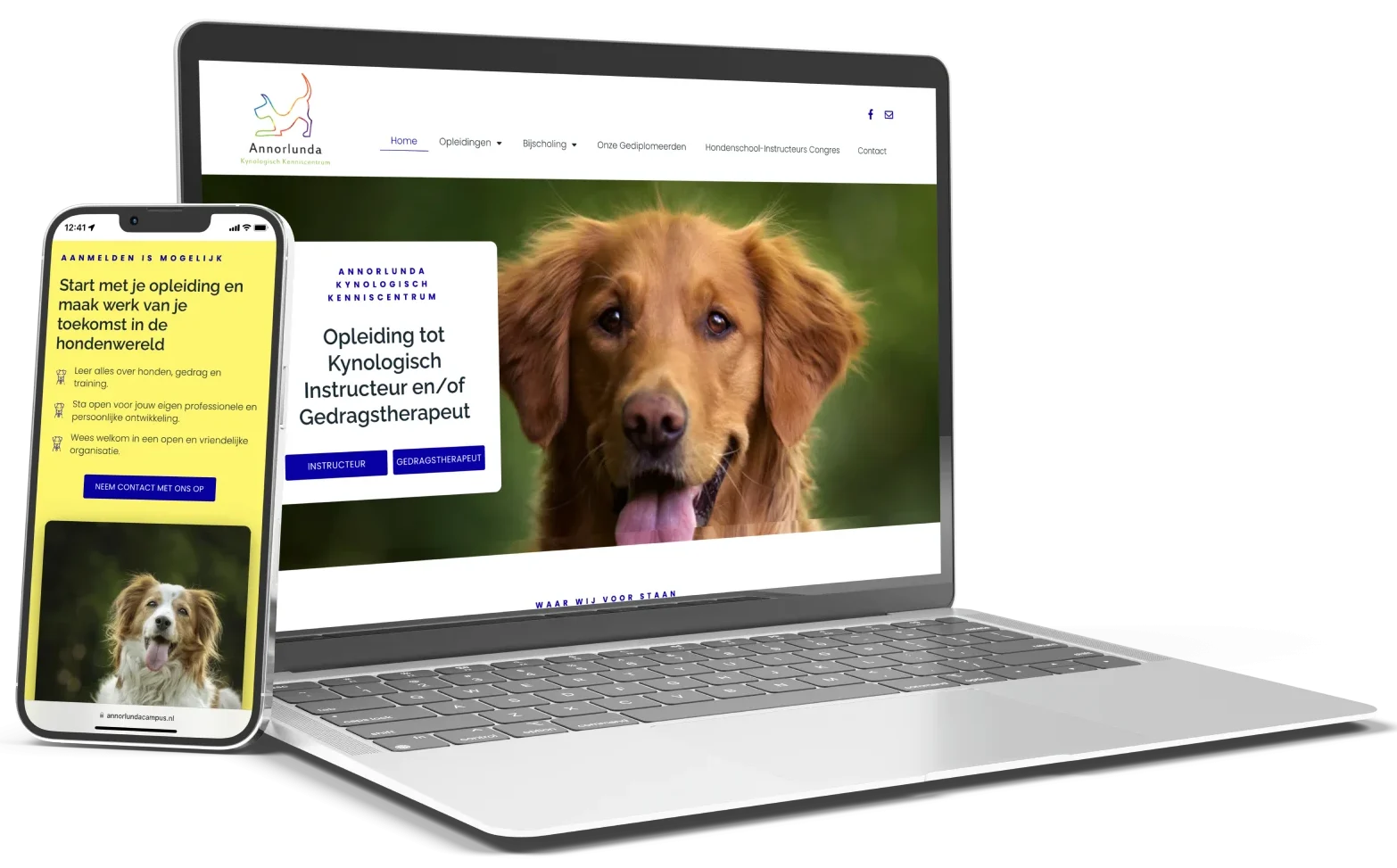 Voorbeeld van door MaFien gemaakte betaalbare website