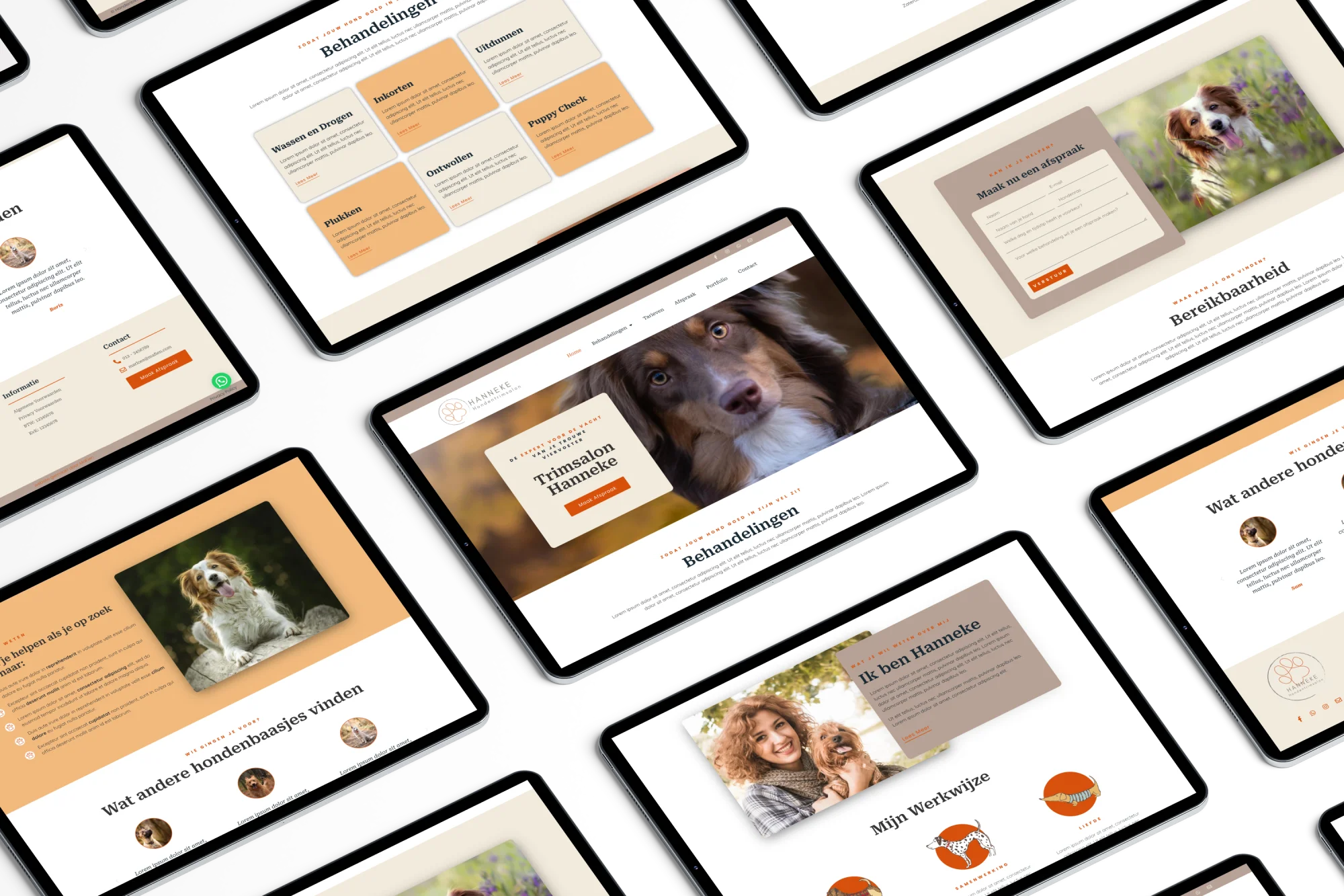 Op zoek naar een website voor een paardentrainer?