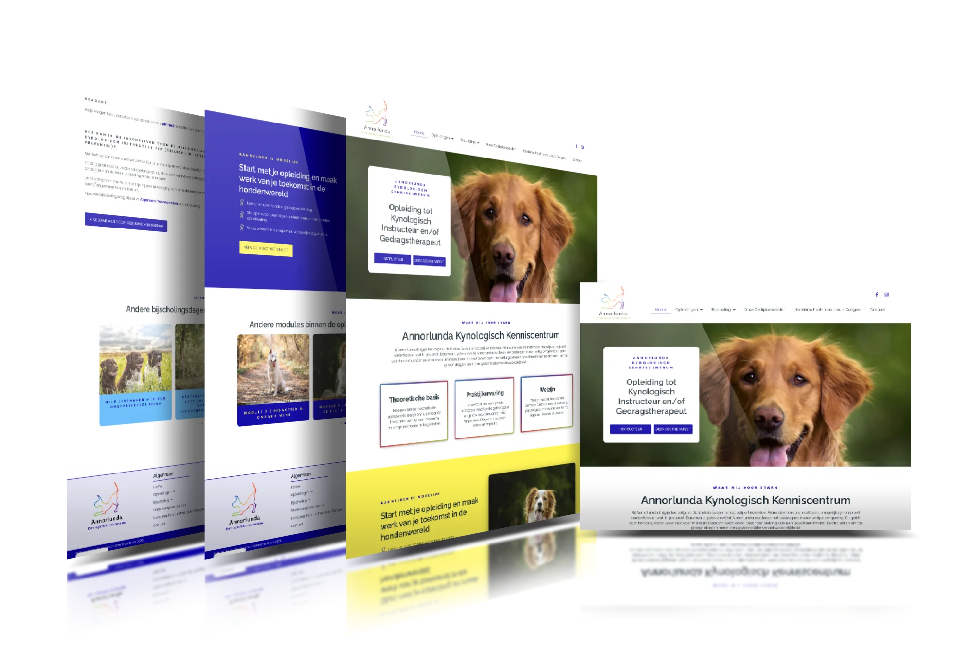 Voorbeelden van door MaFien gemaakte betaalbare website