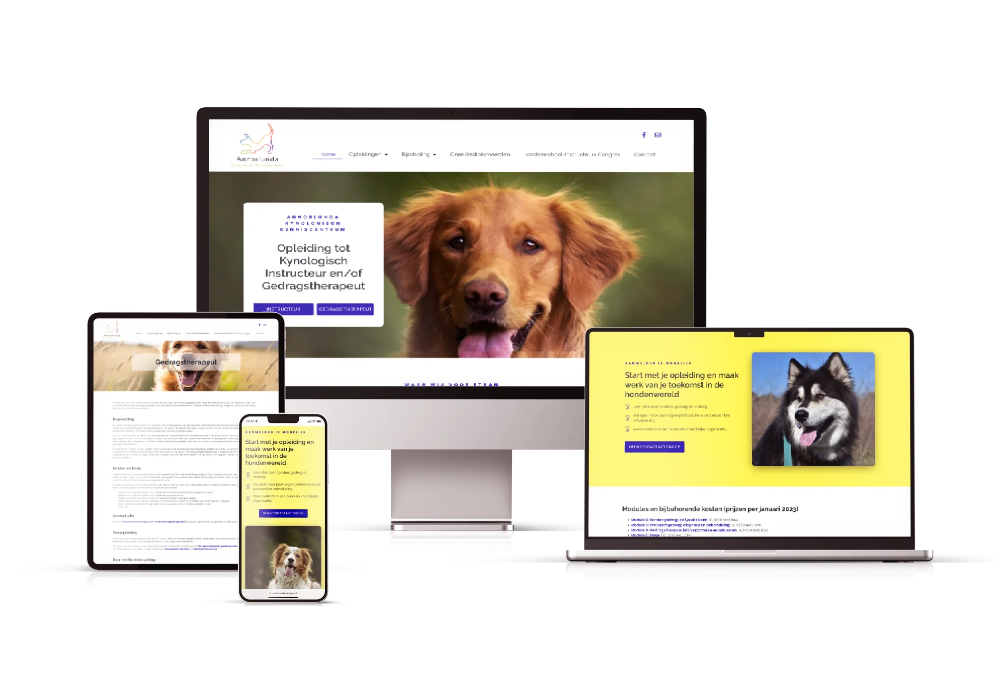 Voorbeelden van door MaFien gemaakte betaalbare website