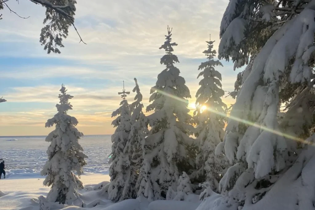 De 6 Grootste misvattingen over Online Leeromgevingen