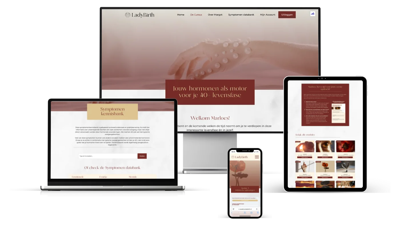 Mockup LadyBirth Portfolio