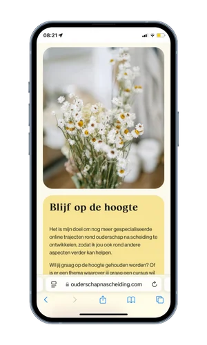 Ouderschap na Scheiding