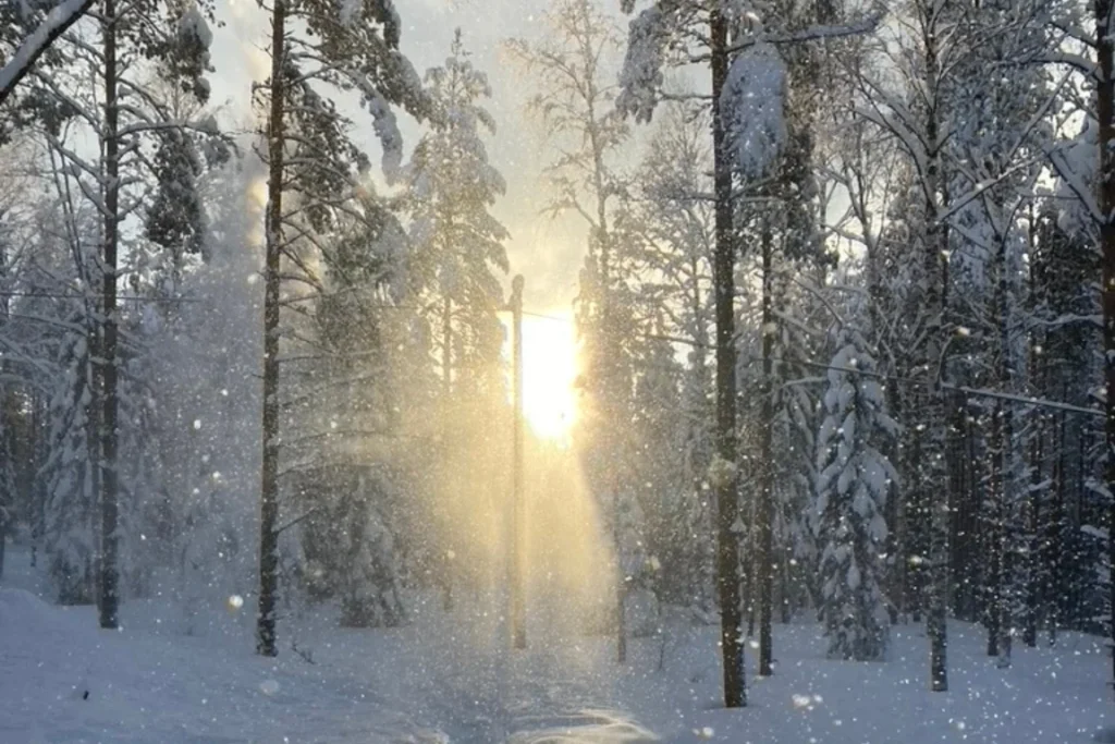 Waarom een sterke online cursus meer nodig heeft dan goede lessen